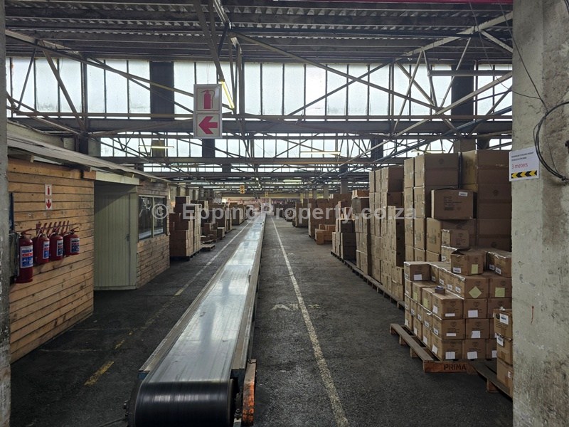 Factory Warehouse to Let in Epping Cape Town